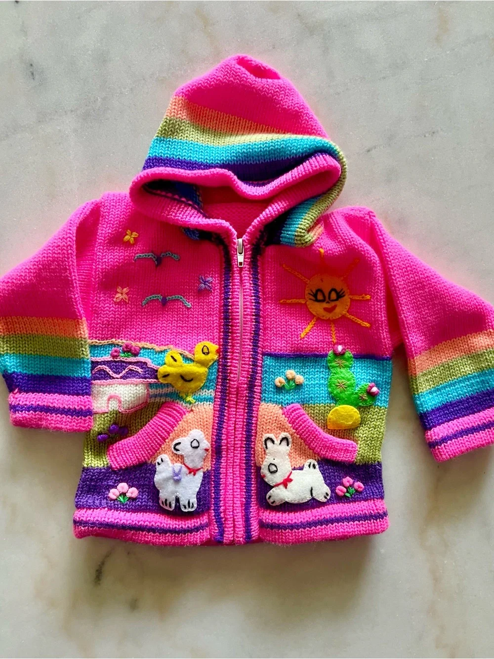 Adorable Colorful Embroidered Hoodie